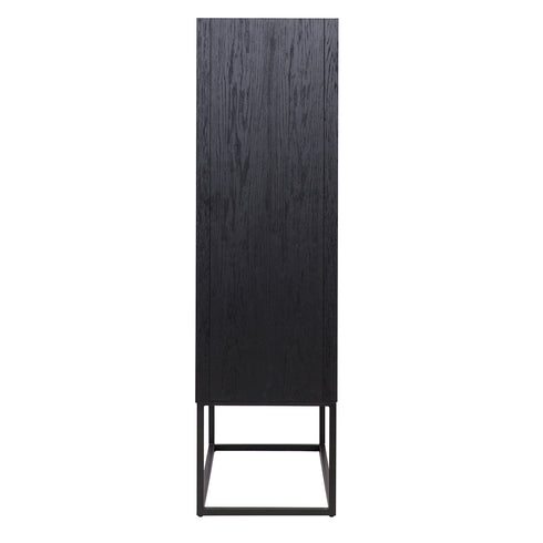 Laxon Black 2 Door Cabinet